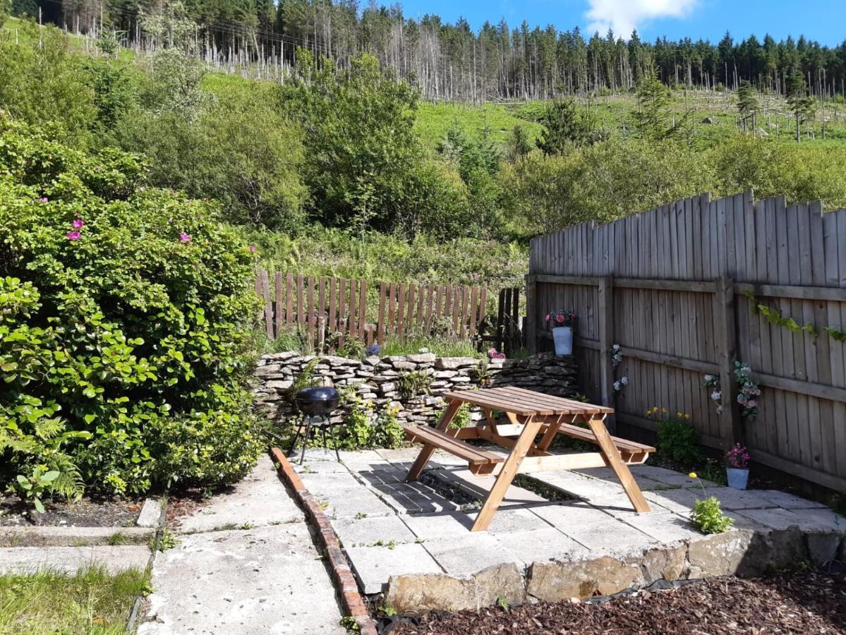 Afan Valley Home - Contractor Accommodation ポート・タルボット エクステリア 写真