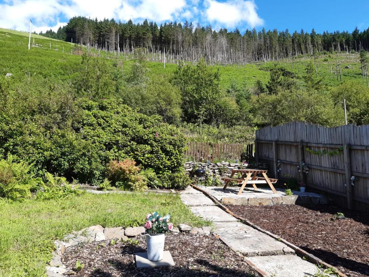 Afan Valley Home - Contractor Accommodation ポート・タルボット エクステリア 写真