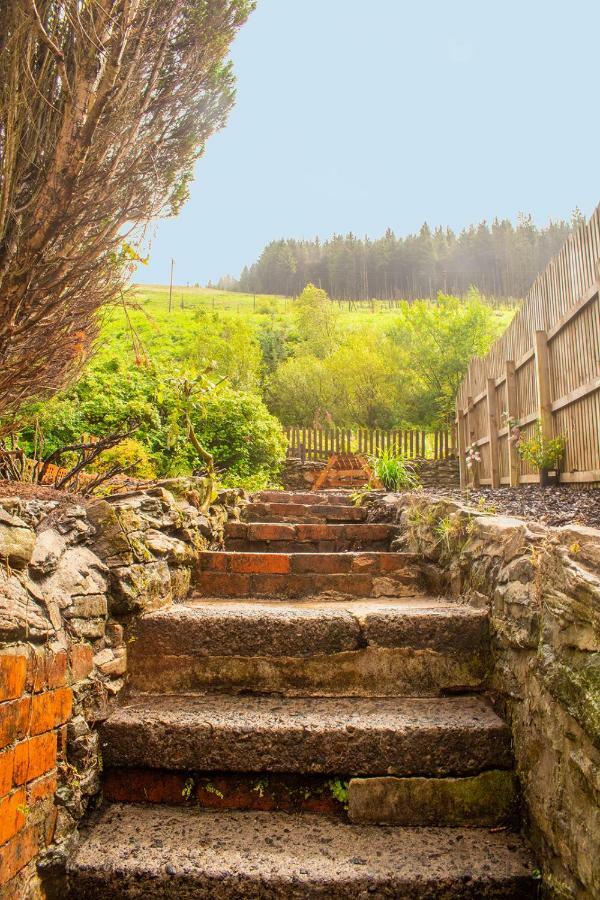 Afan Valley Home - Contractor Accommodation ポート・タルボット エクステリア 写真